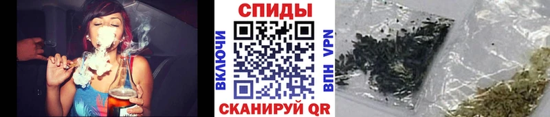 БУТИРАТ буратино  где найти   Наволоки 