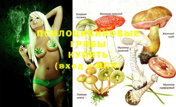 первитин Богданович