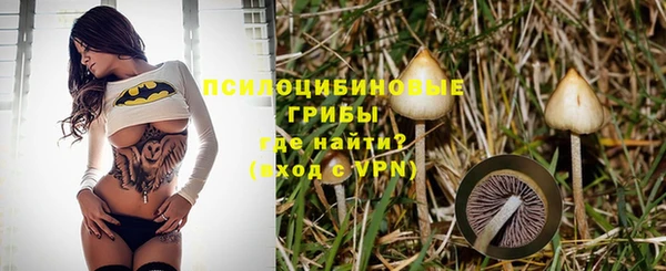 первитин Богданович