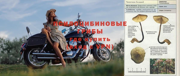 первитин Богданович