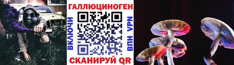 Псилоцибиновые грибы GOLDEN TEACHER  Наволоки 